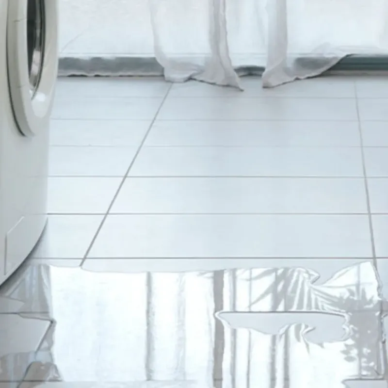 Appliance Leak Cleanup in Springfield, MO