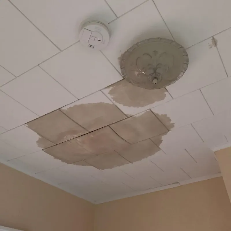 Ceiling Water Damage Repair in Springfield, MO
