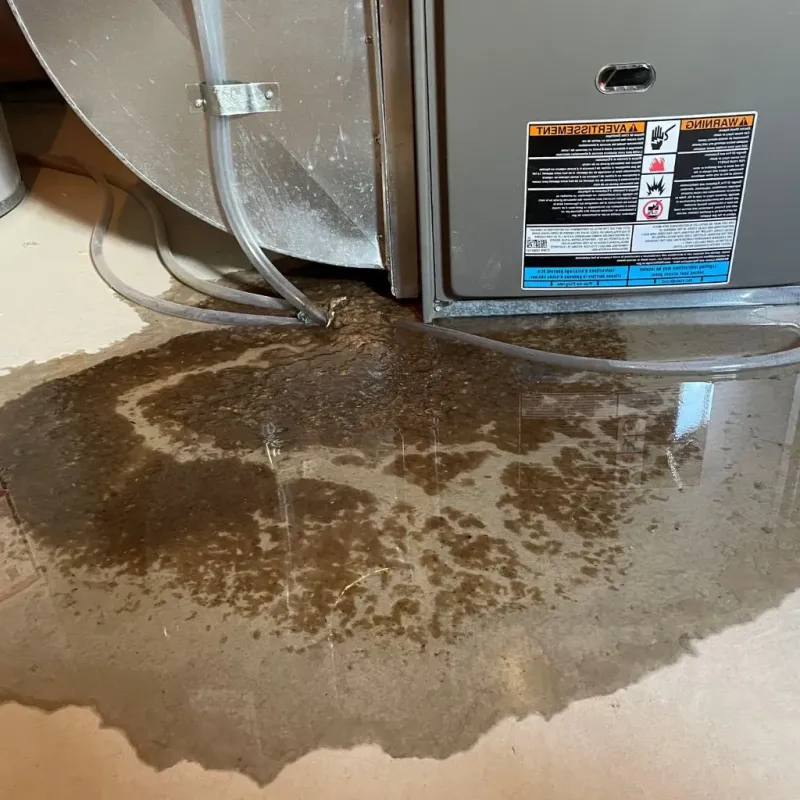 Pipe Burst and Leak Restoration in Springfield, MO