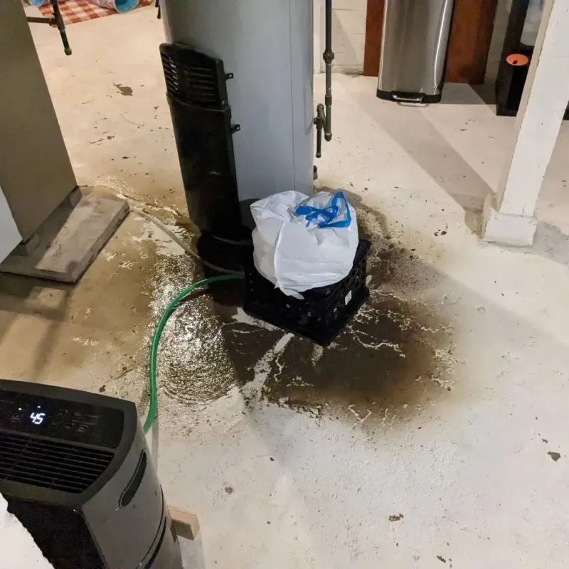 Sewage Backup Cleanup Service in Springfield, MO